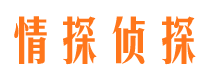 紫云侦探